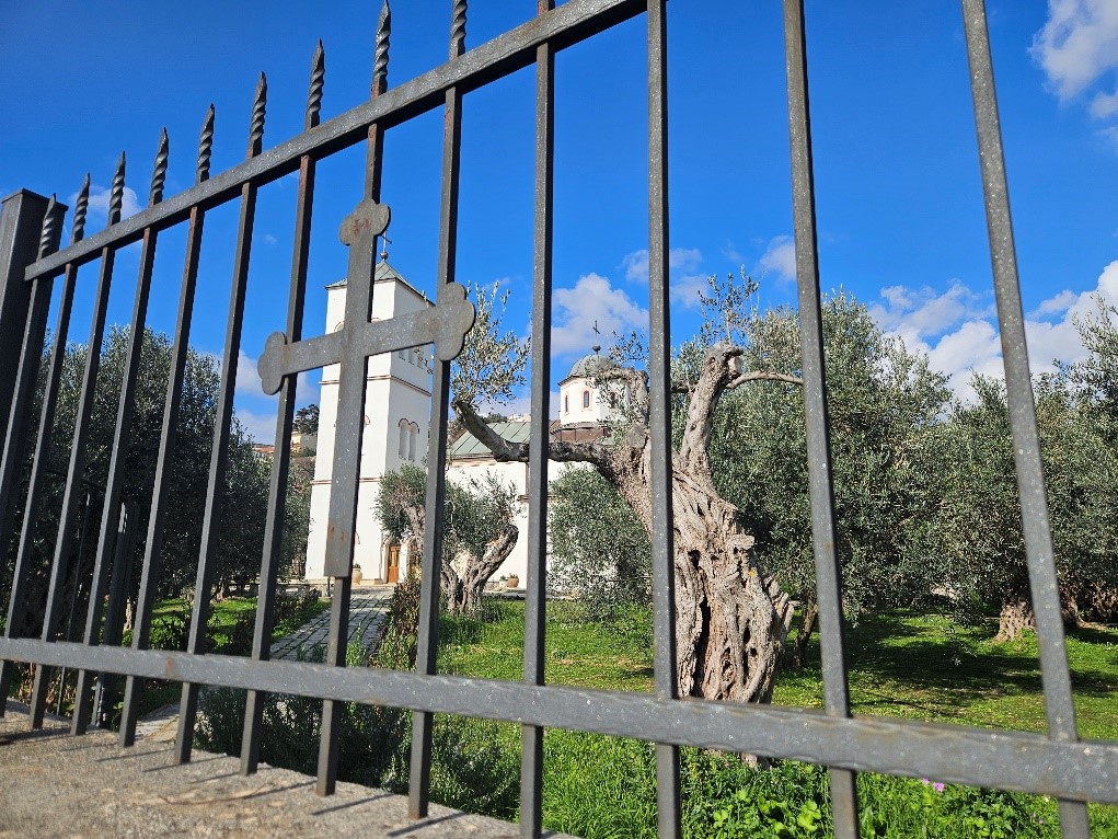 Naslov slike