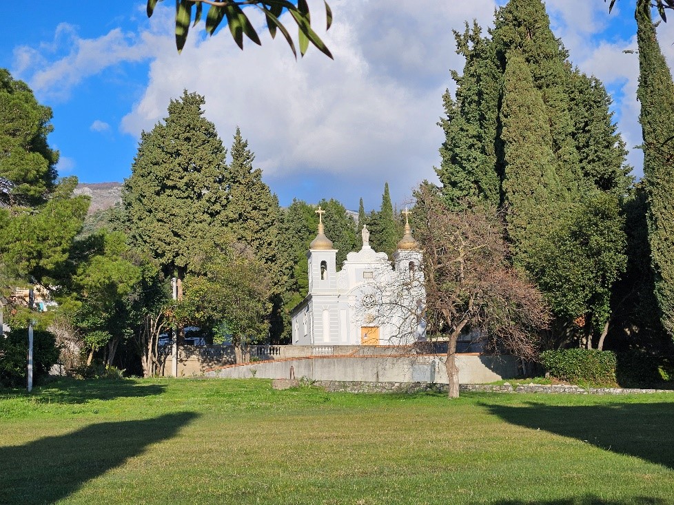 Slika 8