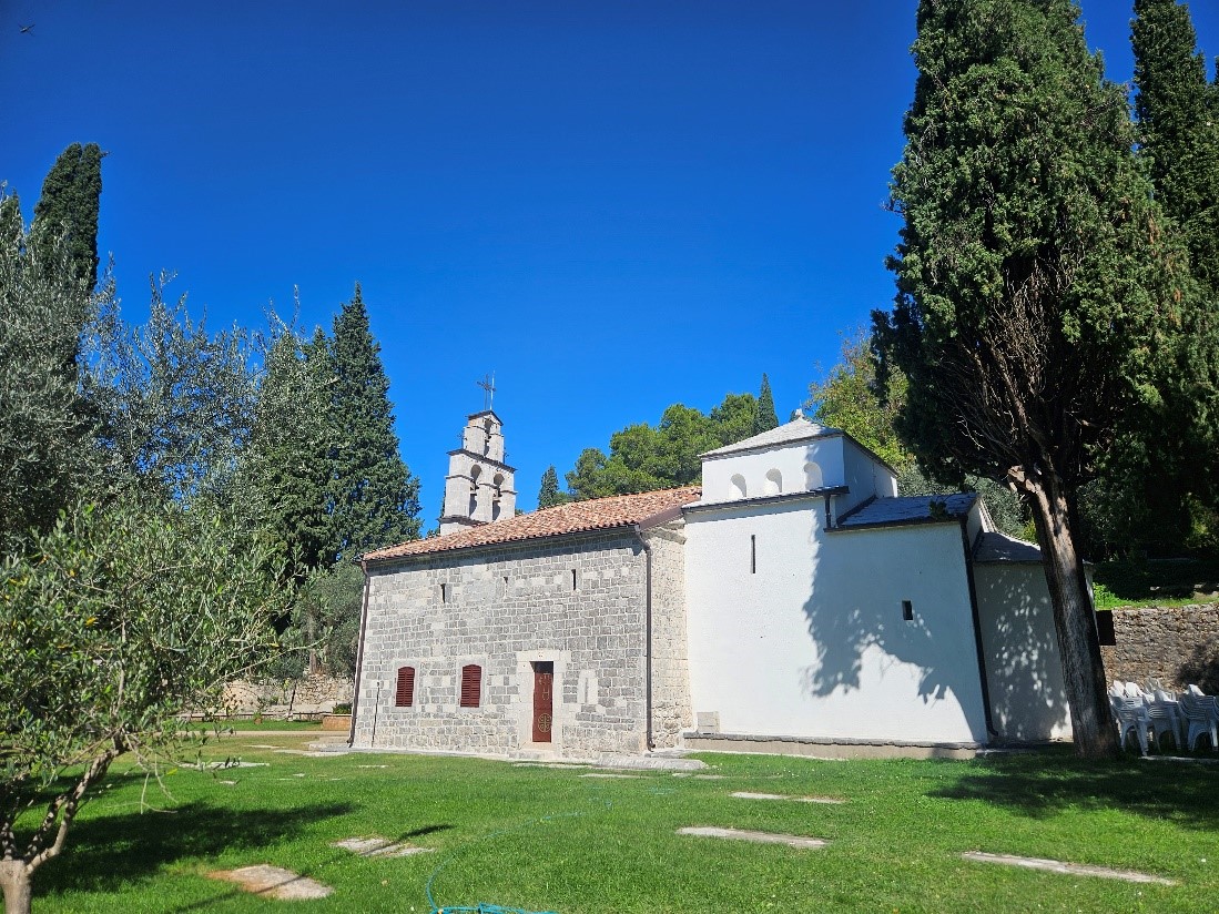 Slika 9